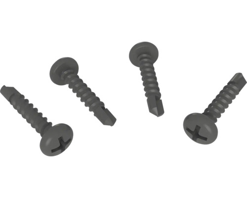 Vier Bohrschrauben mit Linsenkopf