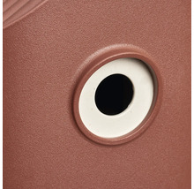 Detailaufnahme eines Vogelhauses mit Einflugloch