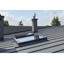 Metalldach mit Dachfenster und Schornstein