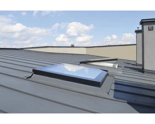 Dach mit Oberlichtern