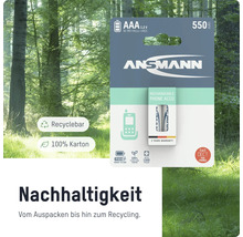 Ansmann AAA 1.2 Volt Akkus für schnurlose Telefone, wiederaufladbar
