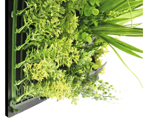 Künstliche grüne Wand mit verschiedenen Pflanzen