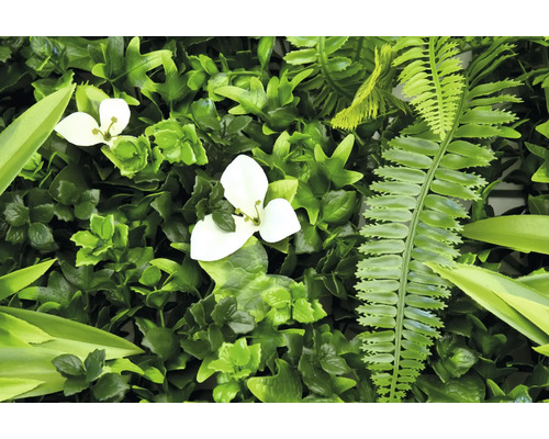 Künstliche grüne Pflanzenwand mit weißen Blüten und Farnen