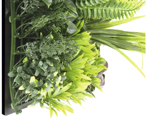 Künstliche Pflanzenwand mit verschiedenen grünen Pflanzenarten.