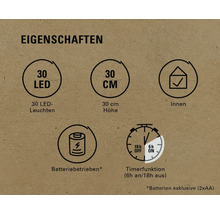 Produktmerkmale: 30 LEDs, 30 Zentimeter Höhe, geeignet für Innenräume, batteriebetrieben, Timerfunktion