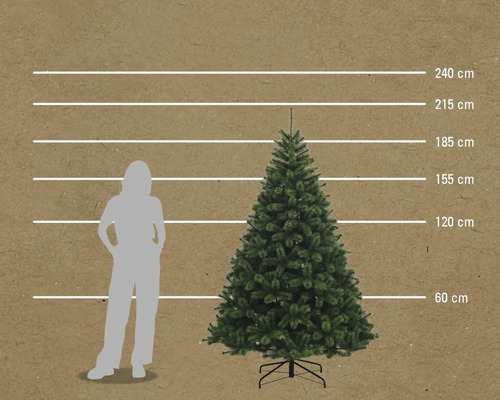 Größenvergleich eines Weihnachtsbaumes mit einer Person, dargestellt durch Linien in 60 cm, 120 cm, 155 cm, 185 cm, 215 cm und 240 cm Höhe.