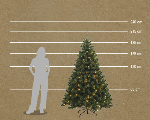 Größenvergleich einer beleuchteten Weihnachtstanne mit einer Frau