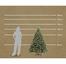 Abbildung eines Weihnachtsbaumes in verschiedenen Größen im Vergleich zu einer Person