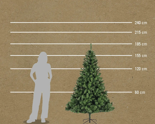 Größenvergleich eines Weihnachtsbaumes mit einer Frau, dargestellt mit horizontalen Linien bei 60 cm, 120 cm, 155 cm, 185 cm, 215 cm und 240 cm.