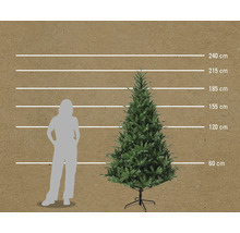 Größenvergleich künstlicher Weihnachtsbaum mit Frau und Größenangaben