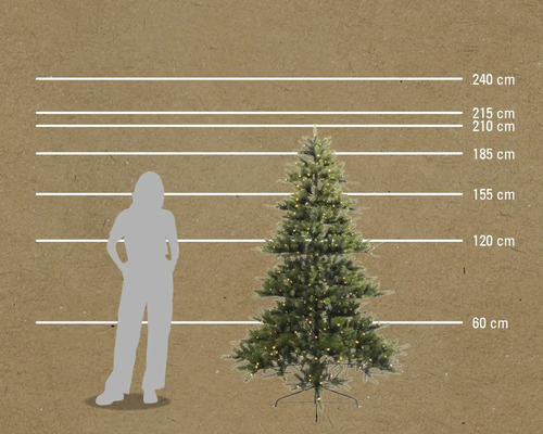 Abbildung eines Weihnachtsbaums mit Größenangaben und einer Silhouettenabbildung einer Person zum Größenvergleich.