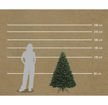 Größenvergleich eines künstlichen Weihnachtsbaumes mit einer Person anhand von horizontalen Linien von 60 cm bis 240 cm.