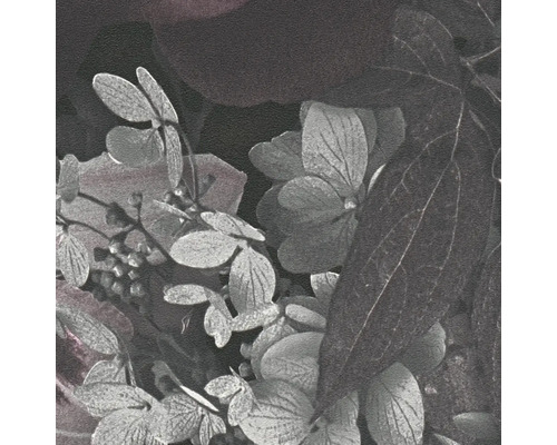 Nahaufnahme von Hortensienblättern