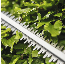 Nahaufnahme einer Heckenschere im Einsatz an einer Hecke