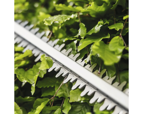 Nahaufnahme einer Heckenschere im Einsatz an einer Hecke