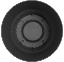 Ansicht von innen eines Blumentopfes