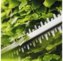 Nahaufnahme einer Heckenschere beim Schneiden einer grünen Hecke