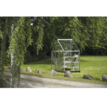 Gewächshaus im Garten mit Pflanzenregalen.