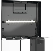 Innenansicht eines Aquariums mit Beleuchtung