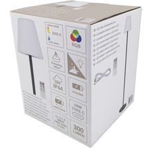 Verpackung einer LED Solar Aussenstehleuchte mit technischen Details wie warmweisses Licht, 3000 Kelvin, RGB Farbmodus, Flackereffekt, Schutzart IP44, inklusive USB Type C Ladeanschluss und 300 Lumen Lichtstärke