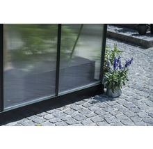 Gewächshaus Detailansicht mit Pflanze im Topf