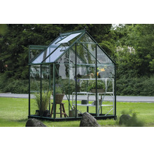 Gewächshaus mit Pflanzen im Garten