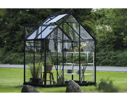 Gewächshaus mit Glaswänden und Pflanzen auf einem Regal