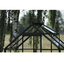Detailansicht Gewächshaus mit Glas und schwarzem Rahmen vor Baum