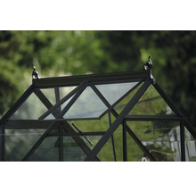 Detailansicht eines Gewächshauses mit geöffnetem Fenster