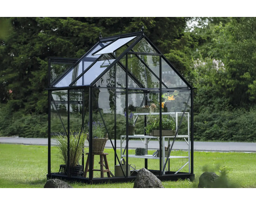 Gewächshaus mit Pflanzen und Regalen im Garten