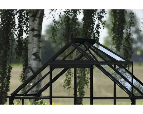 Detailansicht eines Gewächshauses aus Glas und Metall im Garten.