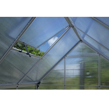 Innenansicht eines Gewächshauses mit geöffnetem Fenster