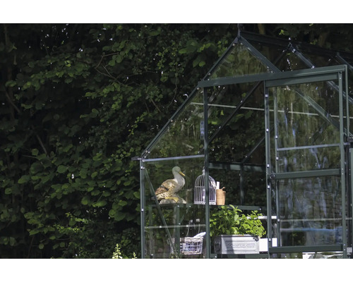 Gewächshaus mit Glas und Gartendekoration