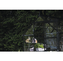 Gewächshaus mit Pflanzen und Gartendekoration