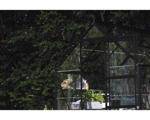 Gewächshaus mit Pflanzen und Gartendekoration