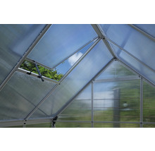 Innenansicht eines Gewächshauses mit geöffnetem Dachfenster