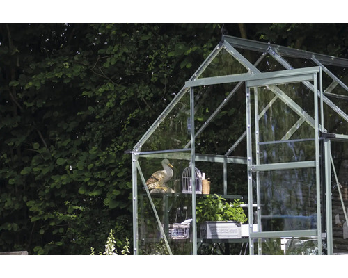 Gewächshaus mit Glaswänden und Regalen, dekoriert mit Pflanzen und Gartenzubehör.