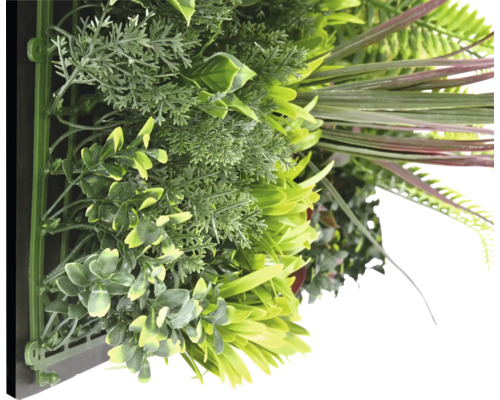 Künstliche Pflanzenwand mit verschiedenen grünen Pflanzen