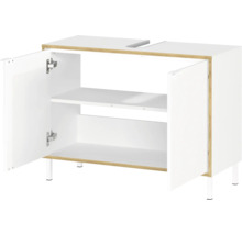 Waschbeckenunterschrank mit zwei Türen und Innenregalen
