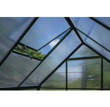 Innenansicht eines Gewächshauses mit Polycarbonatplatten und einem geöffneten Fenster
