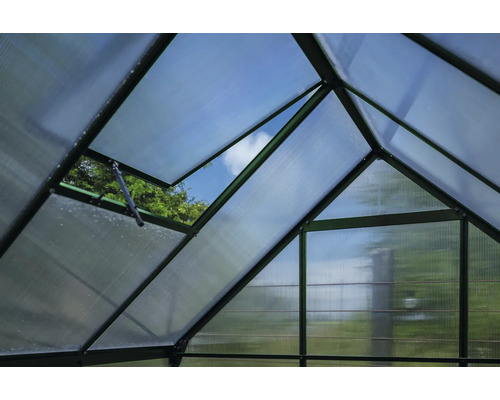 Innenansicht eines Gewächshauses mit Polycarbonatplatten und einem geöffneten Fenster