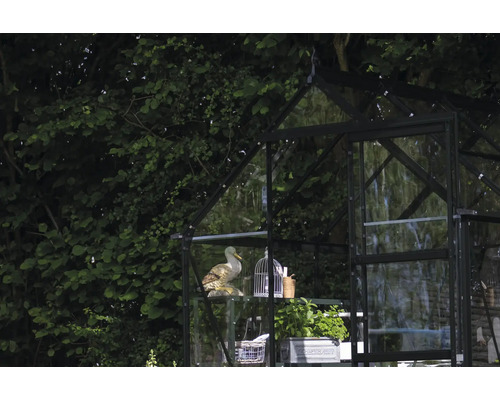 Gewächshaus mit Regalen, Dekoration und Pflanzen