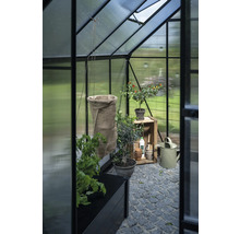 Innenansicht eines Gewächshauses mit Pflanzen, Pflanzzubehör und Steinboden