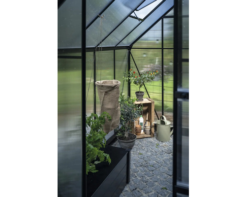 Innenansicht eines Gewächshauses mit Pflanzen, Pflanzzubehör und Steinboden