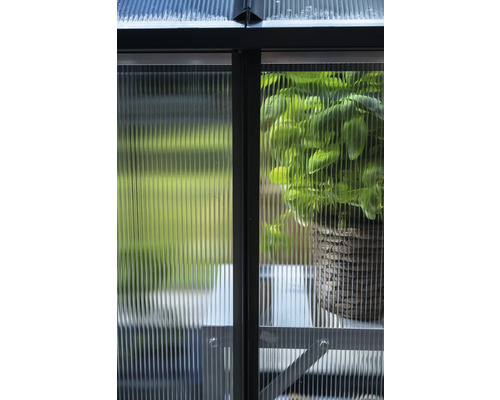 Detailansicht eines Gewächshauses mit Polycarbonatplatten und einer Pflanze im Topf