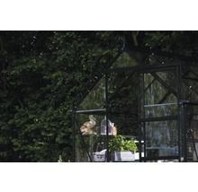 Gewächshaus mit Dekorationen und Pflanzen