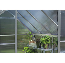 Innenansicht eines Gewächshauses mit Pflanzen auf einem Regal