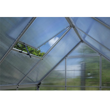 Innenansicht Gewächshaus mit geöffnetem Fenster zur Belüftung