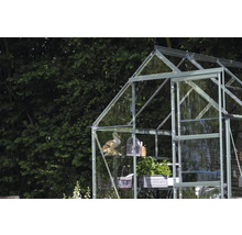 Gewächshaus mit Glaswänden und Regalen zur Pflanzenzucht