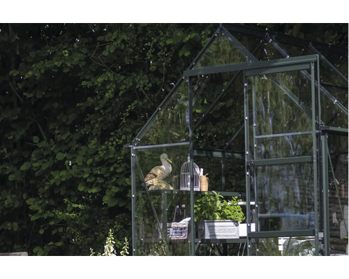 Gewächshaus mit Regalen, Pflanzen und Dekorationen im Garten